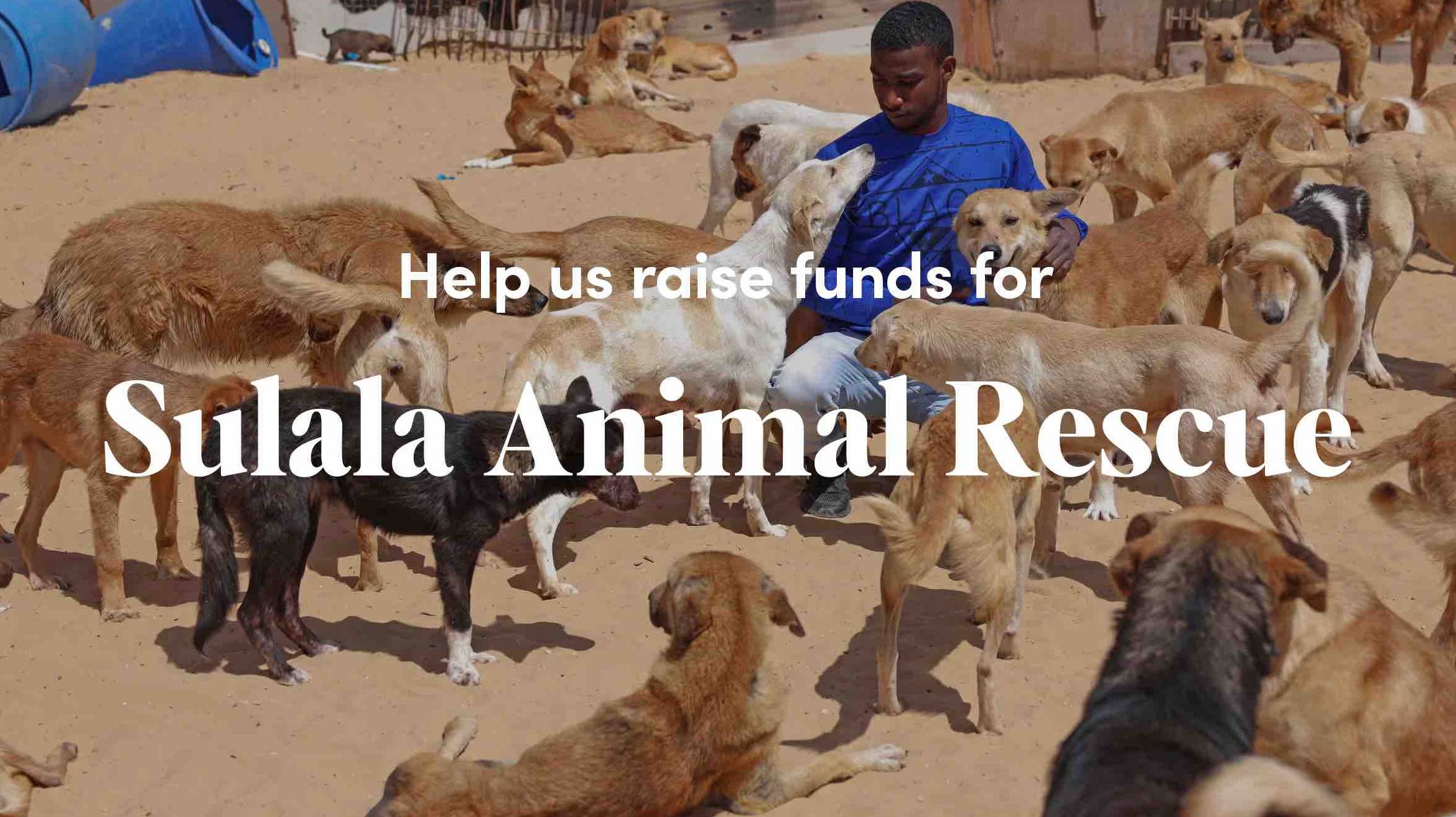 Sulala Animal Rescue - Please See Below for Our NEW FUNDRAISER LINK