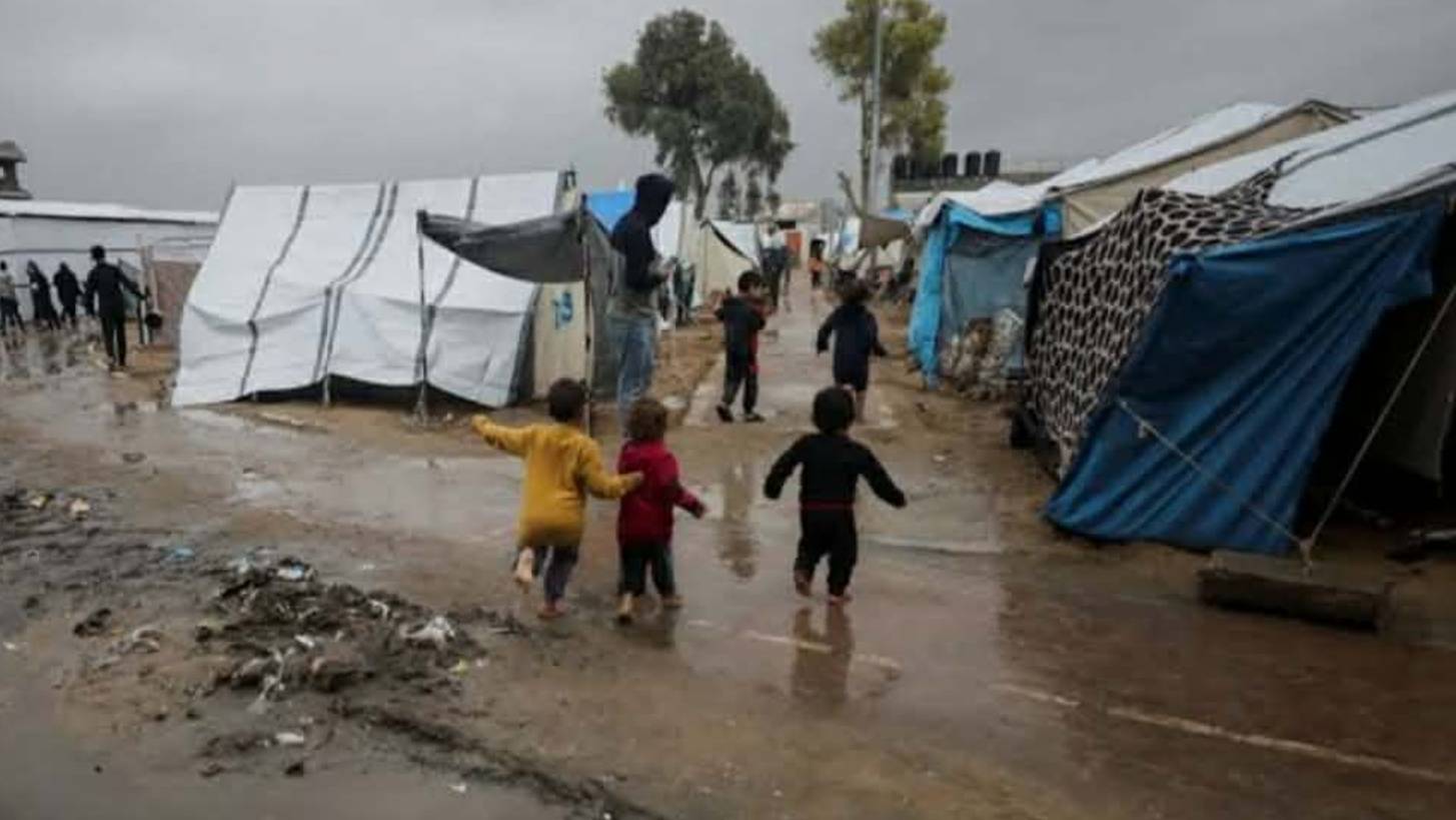 Help My Displaced Family in Gaza Survive after Displacement | Chuffed ...