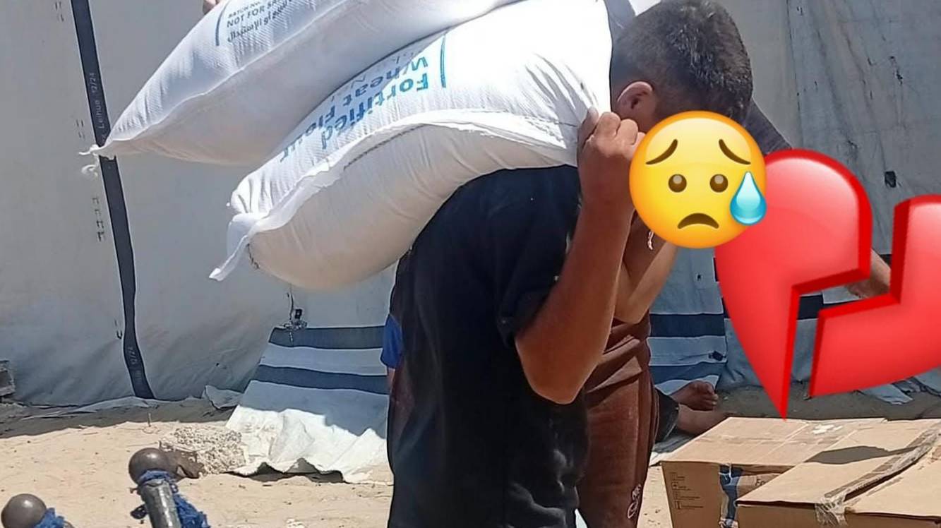 💚 Help Yazan Protect His Family and Restore Hope for Their Future ❤️📚🏕️
