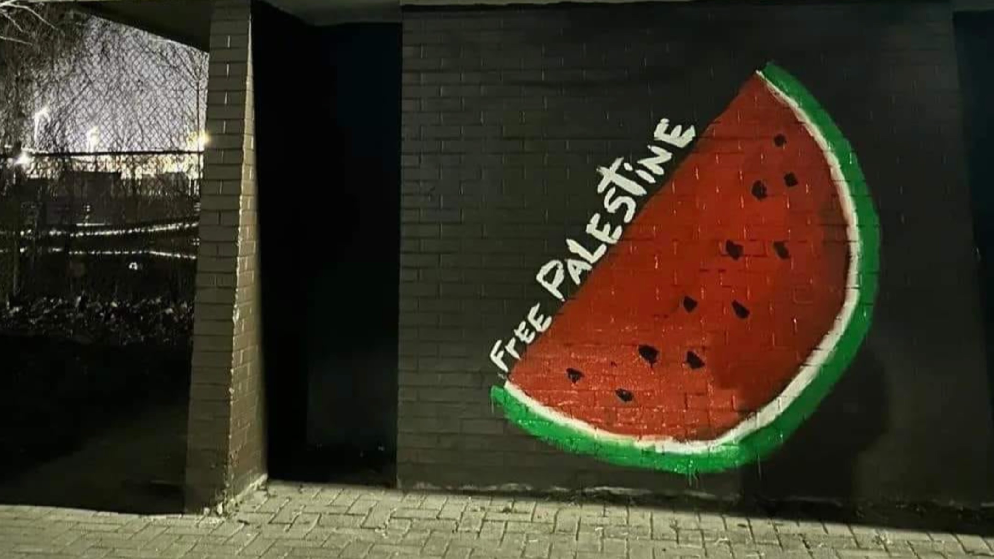 FREE PALESTINE 🍉👋🚨⛑️🇵🇸🇵🇸🇵🇸🚑 | Chuffed | Non-profit charity and social