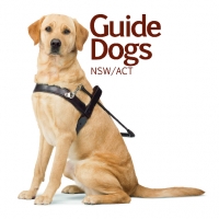 Guide Dogs Name A Puppy Manager Guide Dogs Name A Puppy Manager