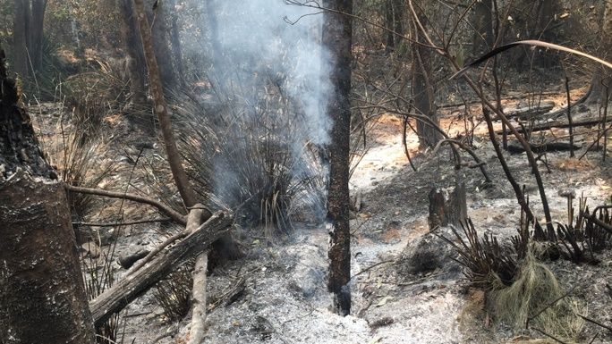 Bushfire wipes out Wildlife Refuge. Help rebuild Adrian's life ...