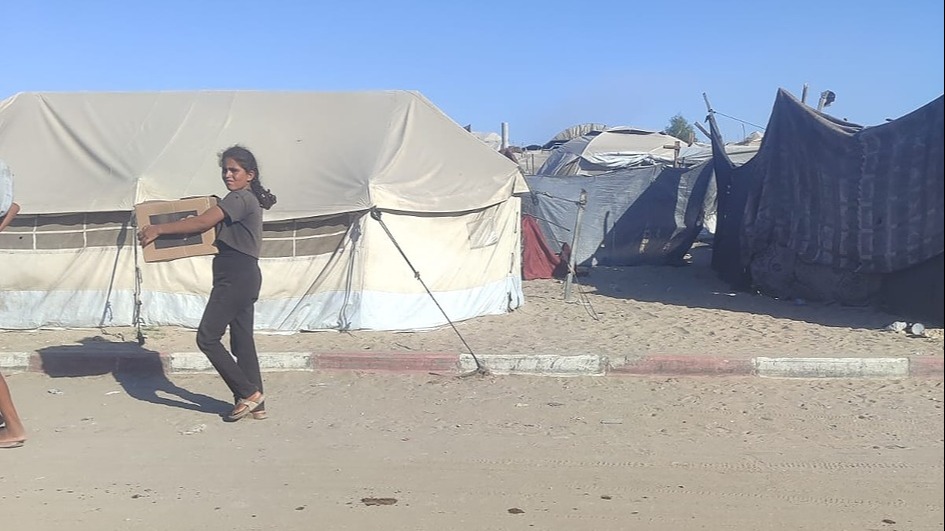 Layan Dreams of School, Not Hunger in Gaza 148362