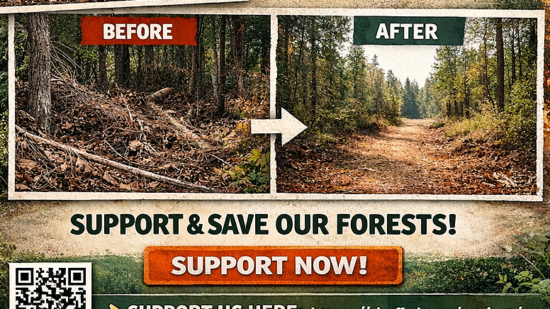 From Prevention to Protection: Forest Cleaning Against Wildfires ...
