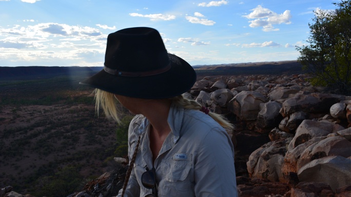 Brumbies in Central Australia | Chuffed | Non-profit charity and social ...