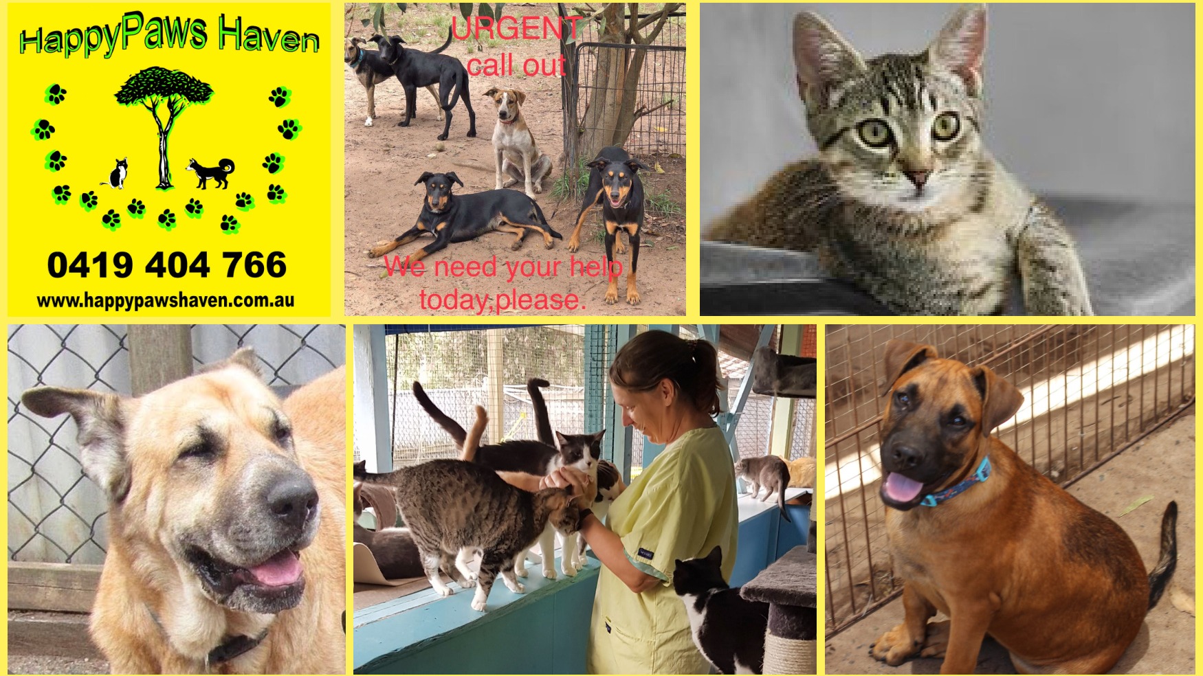 wants to double your donation to Happy Paws Haven