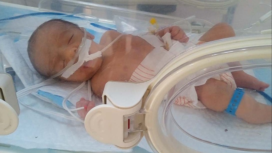 Help a Family in Gaza: Medical Care, Food & Education for Four Children