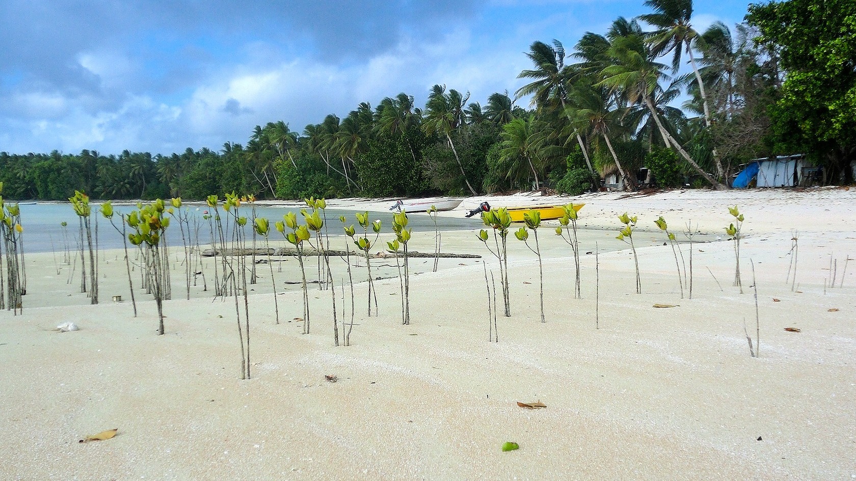 Shifting Tuvalu Civil Society to the Virtual World | Chuffed | Non