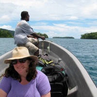 Saving the endemic flying fox of a vanishing Pacific atoll | Chuffed ...