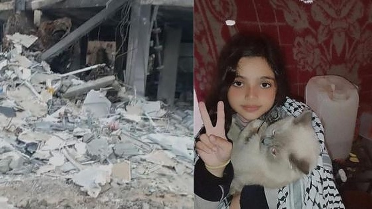 "Help Lian: A Child Separated from Her Family Amid Gaza's Destruction"