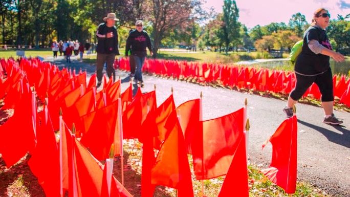 Red Ribbon Day - 2018 Drug Prevention Walk | Chuffed | Non-profit ...