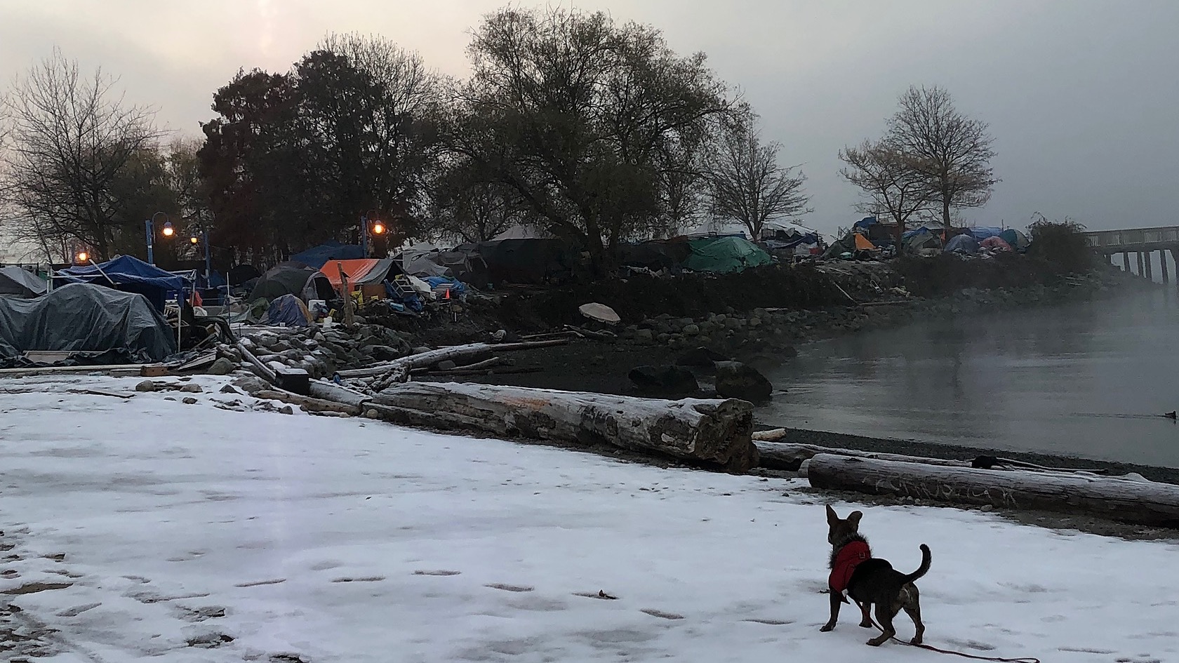 "This camp is spiritual" Christmas for CRAB Park tent city Chuffed