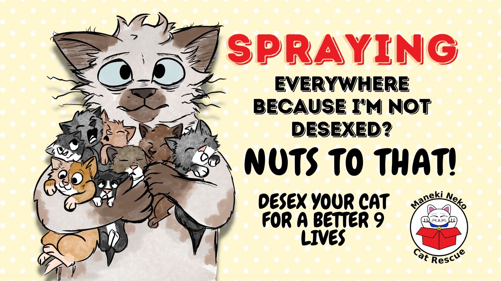 Nuts to That! Cat Desexing Program Chuffed Nonprofit charity and