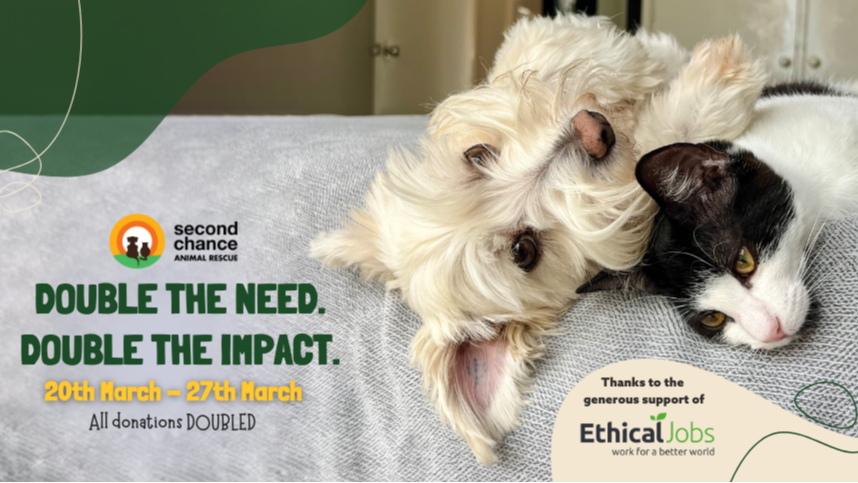 EthicalJobs.com.au wants to double your donation to Second Chance ...