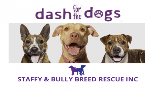 Dash for the dogs | Chuffed | Non-profit charity and social enterprise ...