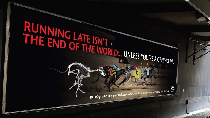 Help ban greyhound racing by keeping our billboard up | Chuffed | Non ...