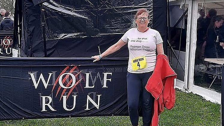 The race to help save more dogs is now on! | Chuffed | Non-profit ...